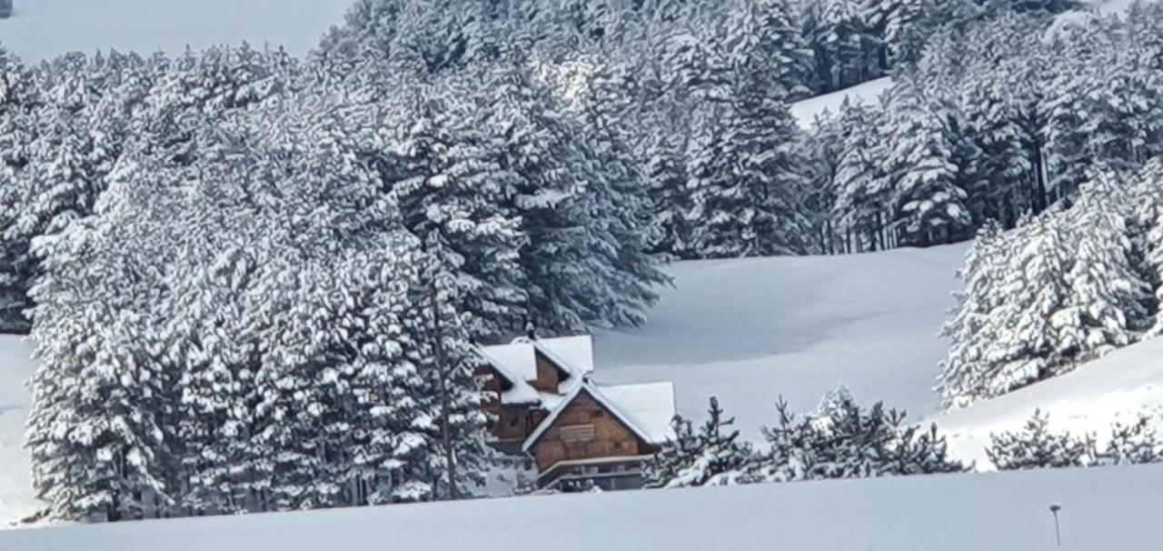 Tornik Studio Zlatibor Exterior photo